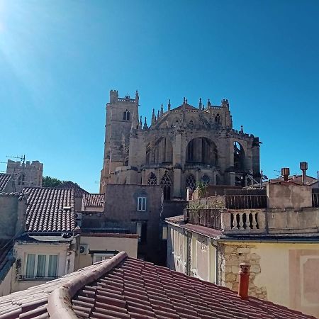 Studio Terrasse Vue Cathedrale Narbonne Bagian luar foto